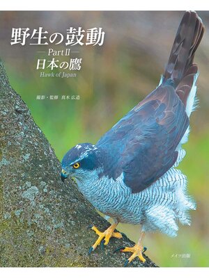 cover image of 野生の鼓動 Part2 日本の鷹